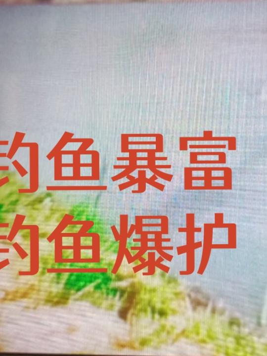 钓鱼暴富钓鱼爆护